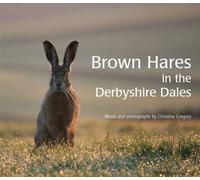 Brown Hares in the Derbyshire Dales
