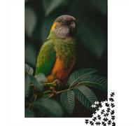 Brown-headed Parrot on A Branch 1000 Piece Jigsaw Puzzle for Adults, 70x50cm/1000pcs, New Year Indoor Activity, Winter Downtime And A Calmer Routine