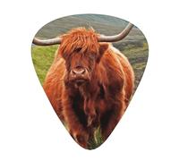 Brown Highland Cattle,12 Pcs Guitar Pick,3 Different Thickness Plectrums for Acoustic Guitar Bass Ukulele (0.46mm 0.96mm 0.71mm)