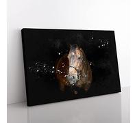 Brown Horse In The Shadows Paint Splash Modern Art Canvas Wall Art Print Ready to Hang, Framed Picture for Living Room Bedroom Home Office Décor, 76x50 cm (30x20 Inch)