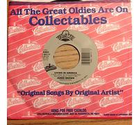 Brown, James - Living in America/How Do You Stop [Vinyl Maxi-Single] [VINYL]