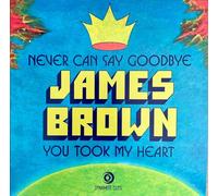 BROWN, James - Never Can Say Goodbye - Vinyl (limited 7") Dynamite Cuts mint new