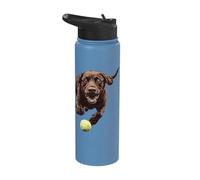 Brown Labrador Chasing Ball Stainless Steel Insulated Water Bottle