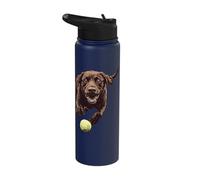 Brown Labrador Chasing Ball Stainless Steel Insulated Water Bottle