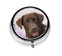 Brown Labrador Lavender Dogs RetrieverMeta Pill Box 3 Compartment Medicine Case,Portable Organizer