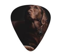Brown Labrador Print Guitar Picks,12 Pack Guitar Plectrums Thin, For Bass Electric Acoustic Guitars Ukulele