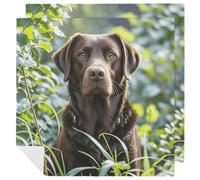 Brown Labrador Retriever Cloth Napkins 2 PCS Washable Dinner Napkins, Ultra Soft & Reusable Floral Cloth Table Napkins Parties Dinners Weddings Cocktail Christmas Easter 18x18 Inch