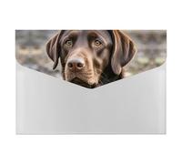 Brown Labrador Retriever File Folder, Plastic Accordion File Folders with 6 Pockets, Expanding File Organizer with Snap Closure, Portable Document Paper Organizer, Office Supplies Filing Folders