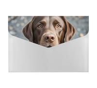 Brown Labrador Retriever File Organizer for Office,6 Pockets Expanding File Folder, Portable Accordion Folders for Desktop, Waterproof Paper Bill Receipt Organizer for Business