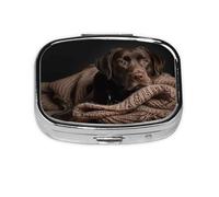 Brown Labrador Retriever Pattern Pill Case Pill Box Travel Pill Organizer Small Square Medicine Box for Purse & Pocket Gifts