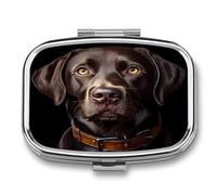 Brown Labrador Retriever Portable Pill Organizer with 2 Compartments Square Medicine Box Compact Travel Pharmacy Case