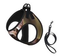 Brown Labrador Retriever Print Dog Harness with Leash Set with Thickened Padded Vest for Extra-Small/Small Medium Dogs