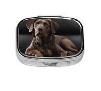 Brown Labrador Retriever Print Pill Box 2 Compartment Medicine Pill Case,Portable for Pocket Or Purse Pill Box Decorative Metal Medicine Organizer