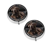 Brown Labrador Retriever Print Pill Box 3 Compartment Medicine Pill Case,Portable for Pocket Or Purse Pill Organizer Decorative Metal Medicine Vitamin Organizer Unique Gift