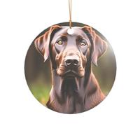 Brown Labrador Retriever Print Xmas Ornament Hanging Decor, Acrylic Romantic Christmas Decoration for Home Wedding Anniversary