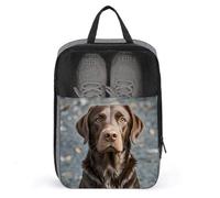 Brown Labrador Retriever Shoe Bags with Zipper, Portable Shoe Organizer with Handle, Personalized Shoes Tote Bag for Travel, Waterproof Shoes Carrier, Storage Pouch