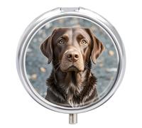 Brown Labrador Retriever Small Pill Box 3 Grids Travel Pill Case Portable Daily Pill Organizer with Anti-Mixing Design Easy to Retrieve Meds for Medication, Vitamin, Supplements