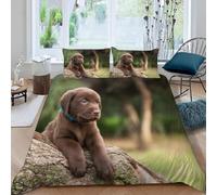 Brown Labrador Retriever Super King Duvet Cover Set Cute Puppy Bedding Double Bed Set 3D Print Soft Comfort Microfiber Quilt Cover 220x260 cm with Zipper Closure and 2 Pillowcases j.1091