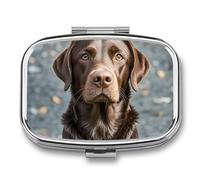 Brown Labrador Retriever Travel Pill Organizer A Daily Pill Box for Supplements 2 Compartment Pill Case Convenient for Carrying and Storing Medicines Box