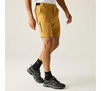 Brown male 33 Regatta Men's Anti insect Travel Light Shorts Brown, Size: 33
