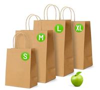 Brown Paper Bags with Handles - 25 Pack, Medium Gift Bags 11.5 x 9.5 x 4.5", Twisted Handle Carrier Bag Kraft, Retail Lunch Party Shopping Grocery Food