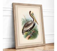 Brown Pelican Study Vintage Framed Wall Art Print A1 (84.1×59.4cm) Oak, Wall Decor for Living Room, Bedroom, Office & Home, Ready to Hang, Art Gift