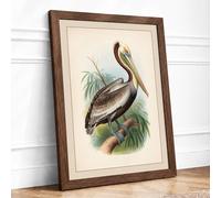 Brown Pelican Study Vintage Framed Wall Art Print A1 (84.1×59.4cm) Walnut, Wall Decor for Living Room, Bedroom, Office & Home, Ready to Hang, Art Gift