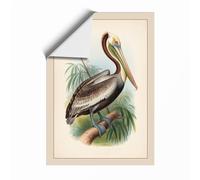 Brown Pelican Study Vintage Unframed Wall Art Print A1 (84.1×59.4cm), Wall Decor for Living Room, Bedroom, Office & Home, Art Gift