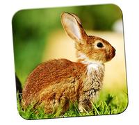 Brown Rabbit Sitting On Grass Coaster/Pack of Coasters