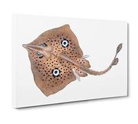 Brown Ray By Edward Donovan Canvas Print | Gallery Wrapped 30mm Frame Wall Art | 24x16 inches | Ready to Hang | Retro Picture | Living Room Bedroom Lounge Office