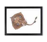 Brown Ray By Edward Donovan Vintage Framed Print | A3 Black Framed Wall Art | Ready to Hang | Classic Nature Picture | Living Room Bedroom Lounge Office