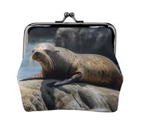 Brown seal on the rock Coin Purse for Women, Small PU Leather Change Purse with Kiss Lock, Vintage Coin Wallet Card Holder, Mini Coin Pocket Pouch Change Holder for Travel, Party