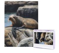 Brown Seal on The Rock Puzzle for Adults 500 Pieces Personalized Jigsaw Puzzles from Photos, Challenging Puzzle Perfect for Game Nights, Wooden Puzzles Gift for Holiday Birthday