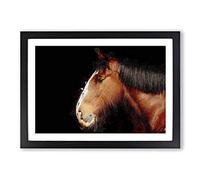 Brown Shire Horse in Abstract Framed Print | A2 Black Framed Wall Art | Ready to Hang | Abstract Animal Picture | Living Room Bedroom Lounge Office