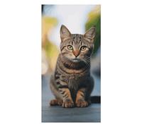 Brown Tabby Kitten Beach Towels Extra Large, Quick Dry Absorbent Multipurpose, Oversized Beach Towel, Sand Free Foldable Lightweight, Travel Towel, For Beach Pool Camping Travel Vacation, 63x31.5 in