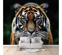 Brown Tiger Head Non-Woven Wallpaper Wildlife 3D Wall Mural Modern Art Photo Wallpaper 500X280Cm (Wxh), for Bedroom Living Room Tv Backdrop Hallway Hall Lounge