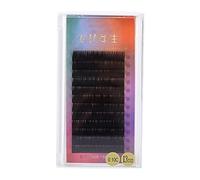 Brrnoo 12 Pcs Gradient Ramp Soft Blended False Eyelashes Extension for Eyes, Lightweight Looking Fake Lashes for Professional and Personal Use, 5 Types 8-13mm (Gradient Mix 0.10c 13mm)