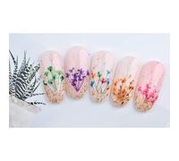 BRRNOO 24PCS 12Color Dried Flower for Nail Art Decoration Nail Decorations Nail Embellishments with Gypsophila Small Daisy Five Petals for DIY Crafts Phone Case Greeting Cards (-2)