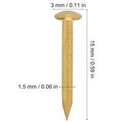 BRRNOO Brass Nails, Wire Nails String Art Brazen Brass Vintage 100Pcs Round Head for Hinges Boxes Craft Projects (15mm Long)