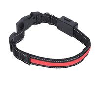 Brrnoo Light Up Dog Collar, USB Rechargeable LED Dog Collar For Small Glow In The Dark Adjustable Lighted Safety For Nighttime Walking Camping (L)