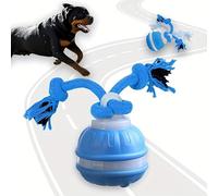 BRTNUP Interactive Dog Ball Toys with Tail, Smart Interactive Dog Toys for Boredom Relief Interactive Moving Dog Toy with Bird Sounds Automatic Active Rolling Ball for Small Medium Large Dogs (Blue)