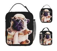 BRTOLIIAO Pibble Meme Funny Dog Brainrot Wash My Belly Meme Lunch Bag Lunch Box Portable Insulated Tote Food Bags For Unisex Cooler Bag