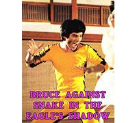 Bruce Against Snake In The Eagle's Shadow