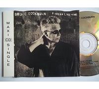 Bruce Cockburn - A Dream Like Mine