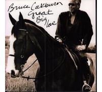 Bruce Cockburn - Great big love (1991/92) / Vinyl single [Vinyl-Single 7'']