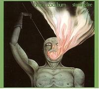 Bruce Cockburn - Stealing Fire