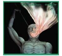 Bruce Cockburn - Stealing Fire (UK Import)