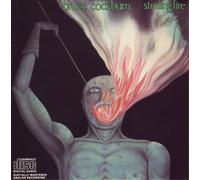 Stealing Fire by Bruce Cockburn (Record, 2010)