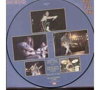 BRUCE DICKINSON - DIVE DIVE DIVE - 12 INCH VINYL