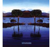 Bruce Dickinson - Skunkworks [VINYL]